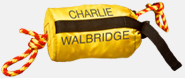 Charlie Walbridge